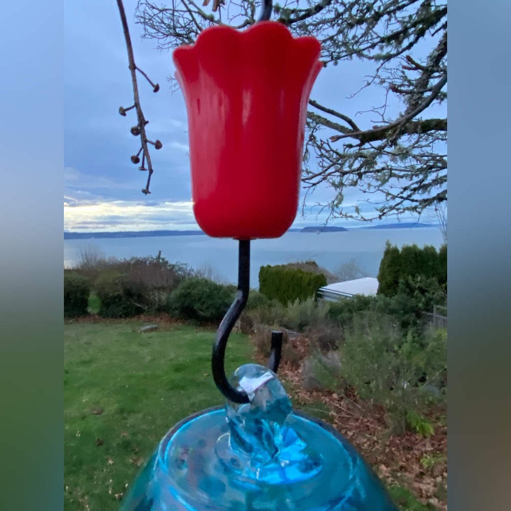 Glass Hummingbird Feeder 27oz Blown Glass Humming Bird - Roses & Ant Moat - Picture 8 of 13